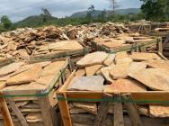 Đá rối vàng ánh kim